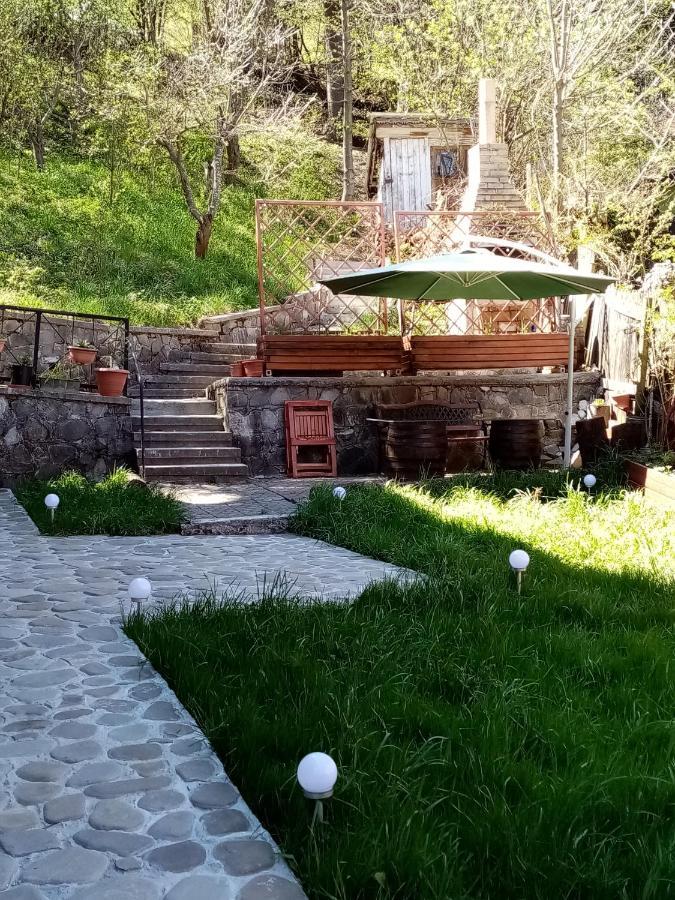 Apartament Pensiunea Nick *